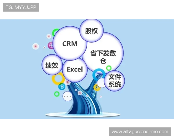 凯发登录app未来发展规划，持续优化服务内容满足用户多样化需求